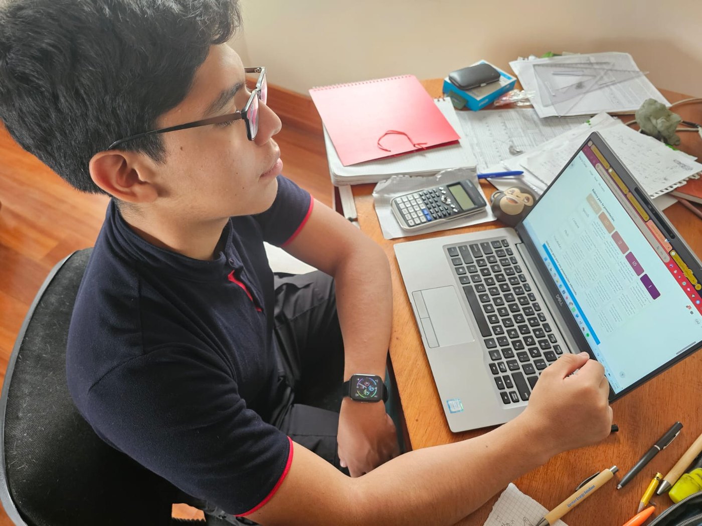 Gustavo Jr. estudiando en una computadora